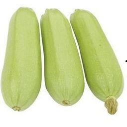 网红主播吃金丝角瓜,惊险刺激引网友热议