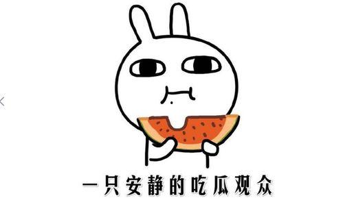 网红吃瓜抖音,揭秘娱乐圈幕后真相