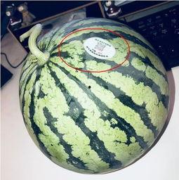 网红吃瓜的平台叫什么,揭秘热门话题背后的秘密